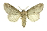  ( - INB0003854460)  @11 [ ] Copyright (2012) Juan Mata Lorenzen Unspecified