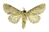  ( - INB0003855748)  @11 [ ] Copyright (2012) Juan Mata Lorenzen Unspecified