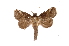 ( - INB0003860630)  @12 [ ] Copyright (2012) I. Chacon Instituto Nacional de Biodiversidad