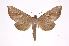  ( - INB0003860894)  @14 [ ] Copyright (2012) I. Chacon Instituto Nacional de Biodiversidad