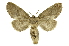  ( - INB0003860934)  @14 [ ] Copyright (2012) Juan Mata Lorenzen Unspecified