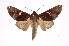  ( - INB0003860991)  @14 [ ] Copyright (2012) I. Chacon Instituto Nacional de Biodiversidad