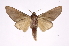  ( - INB0003860991)  @14 [ ] Copyright (2012) I. Chacon Instituto Nacional de Biodiversidad