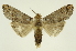  ( - INB0003861058)  @11 [ ] Copyright (2012) Juan Mata Lorenzen Unspecified