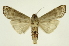  ( - INB0003861058)  @11 [ ] Copyright (2012) Juan Mata Lorenzen Unspecified