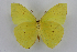  ( - INB0003861609)  @14 [ ] CreativeCommons - Attribution Non-Commercial Share-Alike (2012) National Biodiversity Institute of Costa Rica National Biodiversity Institute of Costa Rica