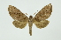  ( - INB0003861663)  @13 [ ] Copyright (2012) Juan Mata Lorenzen INBio