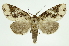  ( - INB0003861953)  @13 [ ] Copyright (2012) Juan Mata Lorenzen Unspecified