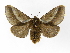  ( - INB0003863069)  @13 [ ] Copyright (2012) J. Montero Instituto Nacional de Biodiversidad