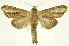  ( - INB0003863110)  @11 [ ] Copyright (2012) Juan Mata Lorenzen Unspecified