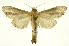 ( - INB0003863110)  @11 [ ] Copyright (2012) Juan Mata Lorenzen Unspecified