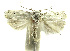 ( - INB0003863793)  @13 [ ] CreativeCommons - Attribution Non-Commercial Share-Alike (2012) National Biodiversity Institute of Costa Rica National Biodiversity Institute of Costa Rica