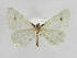  ( - INB0003871423)  @11 [ ] Copyright (2012) J. Montero Instituto Nacional de Biodiversidad