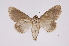  ( - INB0003871499)  @13 [ ] Copyright (2012) I. Chacon Instituto Nacional de Biodiversidad