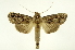  ( - INB0003872082)  @14 [ ] Copyright (2012) Juan Mata Lorenzen Unspecified