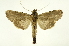  ( - INB0003872082)  @14 [ ] Copyright (2012) Juan Mata Lorenzen Unspecified