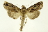  ( - INB0003872084)  @14 [ ] Copyright (2012) Juan Mata Lorenzen Unspecified