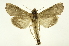  ( - INB0003872084)  @14 [ ] Copyright (2012) Juan Mata Lorenzen Unspecified