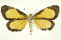  ( - INB0003872676)  @14 [ ] Copyright (2012) Juan Mata Lorenzen Unspecified
