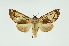  ( - INB0003873300)  @13 [ ] Copyright (2012) Juan Mata Lorenzen Unspecified