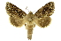  ( - INB0003878778)  @11 [ ] Copyright (2012) Juan Mata Lorenzen Unspecified
