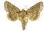  ( - INB0003878778)  @11 [ ] Copyright (2012) Juan Mata Lorenzen Unspecified