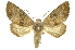  ( - INB0003878864)  @11 [ ] Copyright (2012) Juan Mata Lorenzen INBio