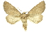  ( - INB0003878864)  @11 [ ] Copyright (2012) Juan Mata Lorenzen INBio
