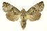  ( - INB0003880506)  @11 [ ] Copyright (2012) Juan Mata Lorenzen Unspecified