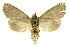  ( - INB0003880506)  @11 [ ] Copyright (2012) Juan Mata Lorenzen Unspecified