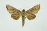  ( - INB0003880521)  @14 [ ] Copyright (2012) Juan Mata Lorenzen INBio