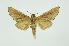  ( - INB0003880521)  @14 [ ] Copyright (2012) Juan Mata Lorenzen INBio