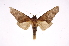  ( - INB0003880522)  @14 [ ] Copyright (2012) I. Chacon Instituto Nacional de Biodiversidad