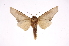  ( - INB0003880522)  @14 [ ] Copyright (2012) I. Chacon Instituto Nacional de Biodiversidad