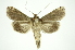  ( - INB0003880609)  @13 [ ] Copyright (2012) Juan Mata Lorenzen Unspecified
