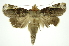  ( - INB0003880662)  @14 [ ] Copyright (2012) Juan Mata Lorenzen Unspecified