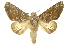  ( - INB0003880671)  @11 [ ] Copyright (2012) J. Montero INBio