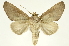  ( - INB0003880671)  @11 [ ] Copyright (2012) J. Montero INBio