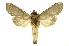 ( - INB0003880748)  @13 [ ] Copyright (2012) Juan Mata Lorenzen Unspecified