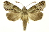  ( - INB0003880771)  @11 [ ] Copyright (2012) Juan Mata Lorenzen Unspecified