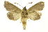  ( - INB0003880771)  @11 [ ] Copyright (2012) Juan Mata Lorenzen Unspecified