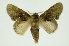  ( - INB0003880784)  @11 [ ] Copyright (2012) Juan Mata Lorenzen Unspecified