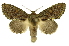  ( - INB0003885065)  @14 [ ] Copyright (2012) Juan Mata Lorenzen Unspecified