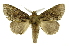  ( - INB0003885071)  @14 [ ] Copyright (2012) Juan Mata Lorenzen Unspecified