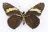  ( - INB0003885199)  @13 [ ] CreativeCommons - Attribution Non-Commercial Share-Alike (2012) National Biodiversity Institute of Costa Rica National Biodiversity Institute of Costa Rica