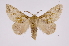  ( - INB0003885221)  @14 [ ] Copyright (2012) I. Chacon Instituto Nacional de Biodiversidad