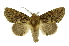  ( - INB0003890341)  @14 [ ] Copyright (2012) Juan Mata Lorenzen Unspecified