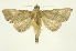  ( - INB0003903449)  @13 [ ] Copyright (2012) Juan Mata Lorenzen Unspecified