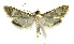  ( - INB0003928749)  @14 [ ] CreativeCommons - Attribution Non-Commercial Share-Alike  National Biodiversity Institute of Costa Rica National Biodiversity Institute of Costa Rica