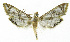  ( - INB0003928782)  @13 [ ] CreativeCommons - Attribution Non-Commercial Share-Alike  National Biodiversity Institute of Costa Rica National Biodiversity Institute of Costa Rica